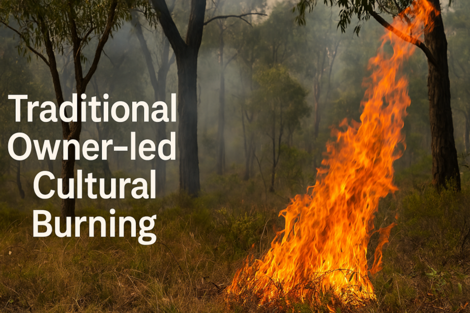 Traditional Owner-led Cultural Burning (Cool Burning) in Australia