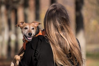 Pet Safety in Emergencies- How to Prepare Your Animals for Fire Season